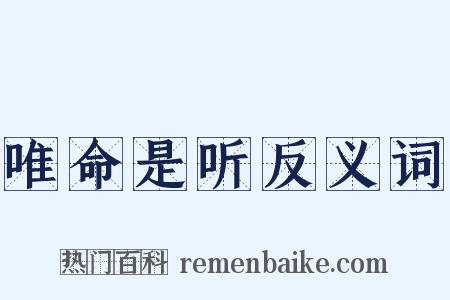 唯命是听反义词是什么意思的图片